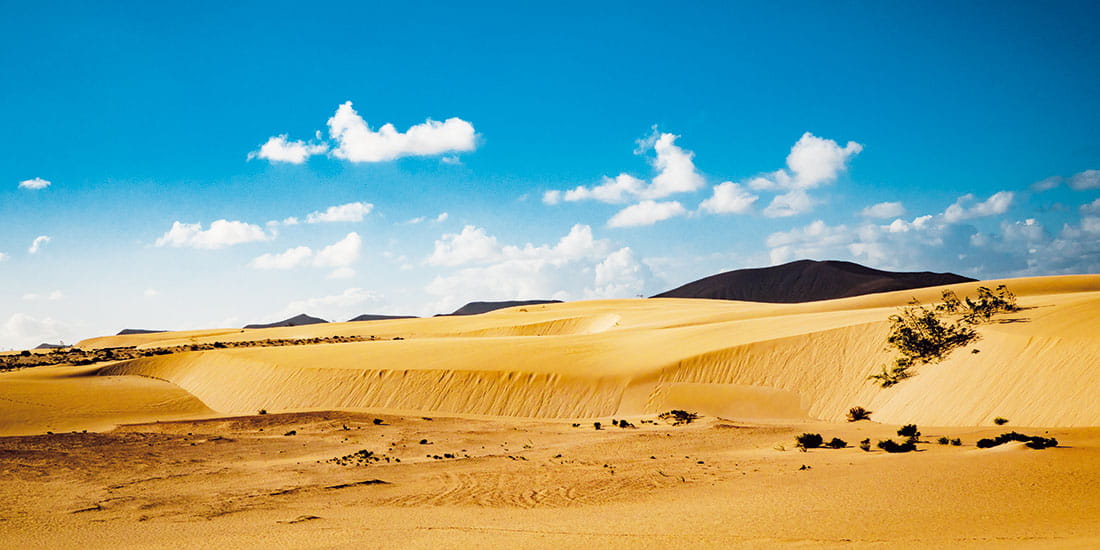 Corralejo National Park